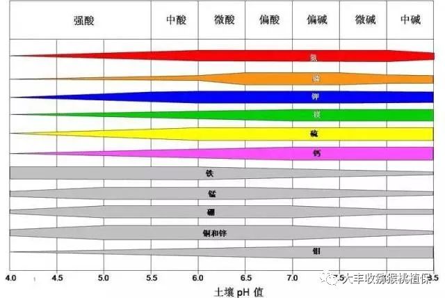 1525333879987019.jpg 微信圖片_20180416115809.jpg
